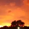 DANTE - @dante.singh - TikTok
