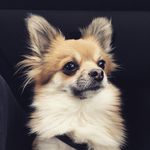 Tyler - @dante_e_tyler_ - Instagram