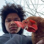 Dante Watson - @dante_watson04 - Instagram