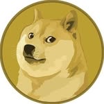 Dante White - @airdropnova - Instagram