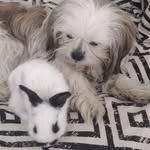 Danuta Kuśmirek - @kusmirekdanuta - Instagram