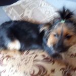 Danuta Wilk - @danuta.wilk.566790 - Instagram