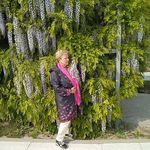 Danuta Zięba - @zieba4455 - Instagram