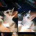 Danya Smith - Facebook