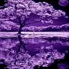 Danyale Henderson - @danyale.henderson - TikTok