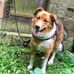 Danyella Johnson - Facebook