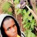 Davis Dante - Facebook