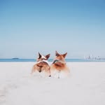 Danyu Wang - @danyu_w - Instagram