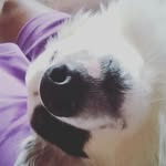 Danzel clinton - @coco1738a - Instagram