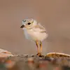 Dao Bui - @dao.bui01 - TikTok