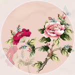 گیتی:داور تالو+دان دو+مربی تایچی چوان و چی کونگ - @dao_yang_chen - Instagram