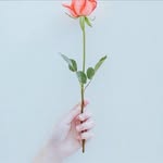陈大鹏 - @dapengchen - Instagram