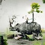 Dapeng Li - @lidapeng0 - Instagram