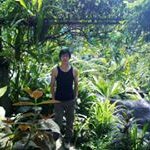 Dapeng Li - @dapeng1212 - Instagram