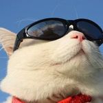 LI Dapeng - @li.dapeng.984 - Instagram