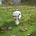 Daphne Berry - Facebook