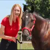 daphne123thebest - @daphne123thebest - TikTok