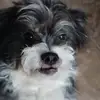 Daphne Best Campbell - @daphne.best.campb - TikTok