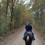 Daphne Black - @featherhaven - Instagram