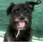 Daphne💖 - @daphne_black_princess - Instagram