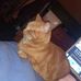 Daphne De Bock - Facebook