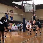Daphne Boyd - @drbvolleyball - Instagram