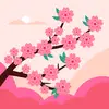 Daphne Boyd - @daphne.boyd5 - TikTok