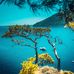 Daphne Brewer - Facebook