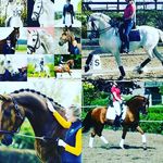 @daphne_fenna_esra_britt_fan - Instagram