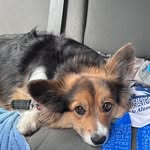 Daphne Burt - @daphneburt1 - Instagram