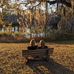 Daphne Byrd - Facebook