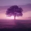 Daphne Calvert - @daphne.calvert - TikTok