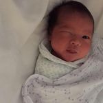 Daphne Cheng - @_daphnecheng_ - Instagram