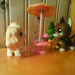 petshop Daphné - @daphnecotearsen - Instagram