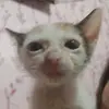 Daphne Nadean Malanum - @daphne.nadean.mal - TikTok