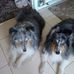 Daphne Dearing - Facebook