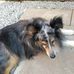 Daphne Dearing - Facebook