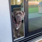 Daphne - @daphnedill803 - Instagram