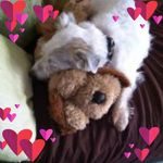 Daphne Dixon - @daphne.dixon.9847 - Instagram