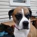 Daphne Dotson - Facebook
