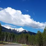 Daphne Doyle Nee Forgrave - @forgravedaphne - Instagram