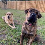 Daphne & Duncan Stec - @daphne_and_duncan - Instagram