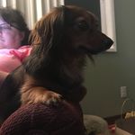 Daphne Mauro Duncan Hanson - @daphnemauroduncan - Instagram