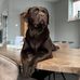 Daphne van Eck - Facebook