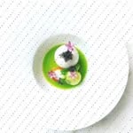 Daphne Eckert - @nildawarth105 - Instagram