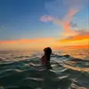 daphneedaily - @daphneelyy - TikTok