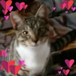 Daphne Erickson - @daphneerickson361 - Instagram