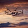 Field Daphne - @interestingdrone - TikTok