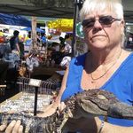 Daphne Freeman - @kathi.atchison09 - Instagram