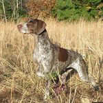 Daphne Gray - @windstormgsp - Instagram